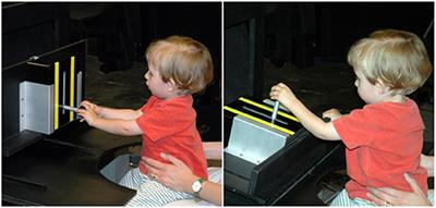 habituation experiments infants